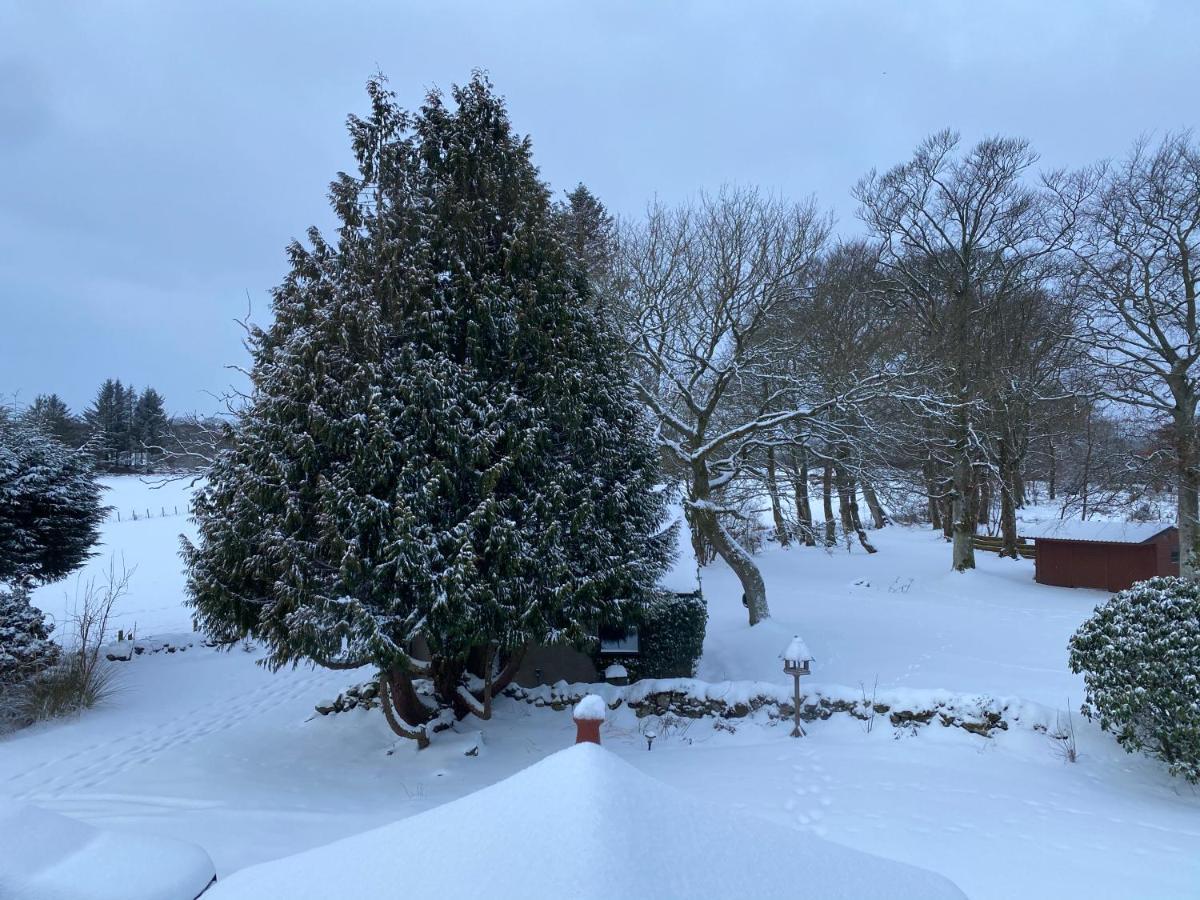 Serene Countryside Home With Manicured Gardens Stonehaven Eksteriør bilde